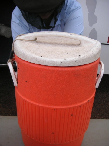 s_A_PICT0359.JPG